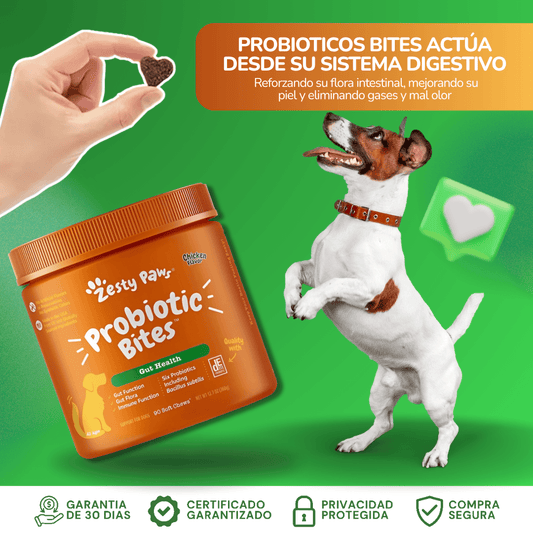 Snack Masticables Probiótico Zesty Paws Para Perros