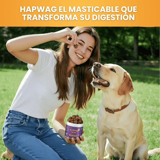 HAPWAG® Probióticos ¡Dile adiós a los problemas digestivos!
