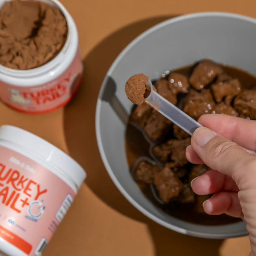 Turkey Tail+ Mascotas